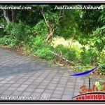 INVESTASI PROPERTY, DIJUAL TANAH MURAH di JIMBARAN TJJI118